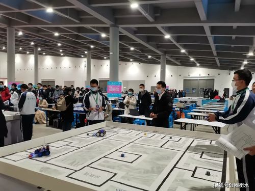 衡實學子在全國中小學信息技術創(chuàng)新與實踐大賽中再續(xù)輝煌